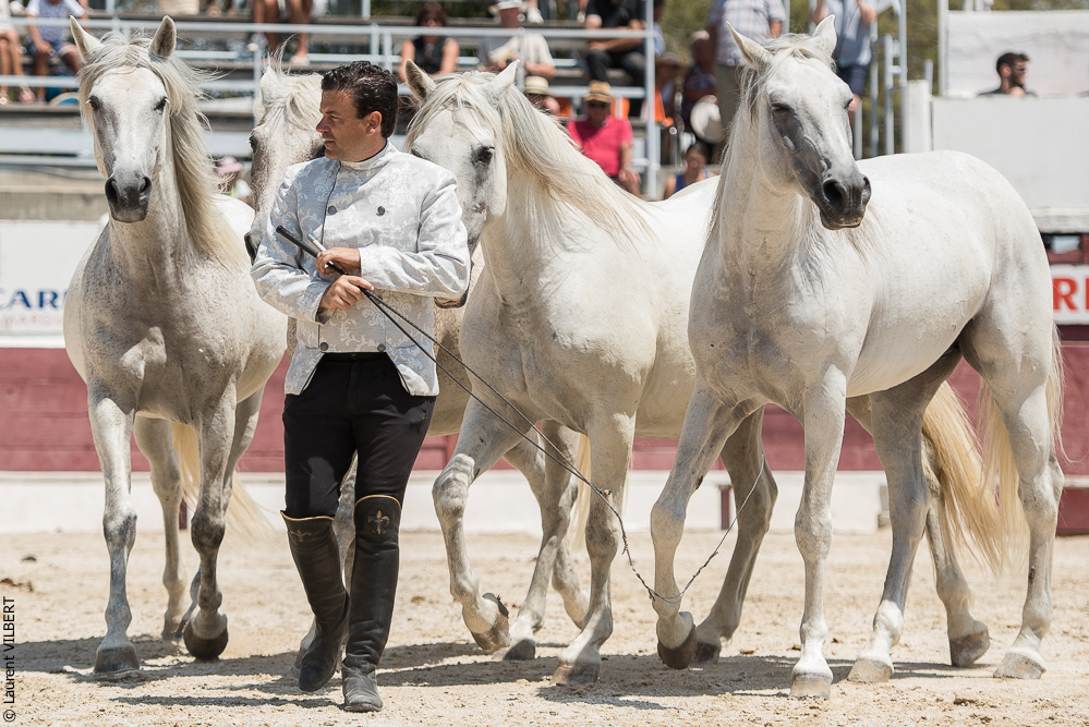 Mejanes 20170722-0592