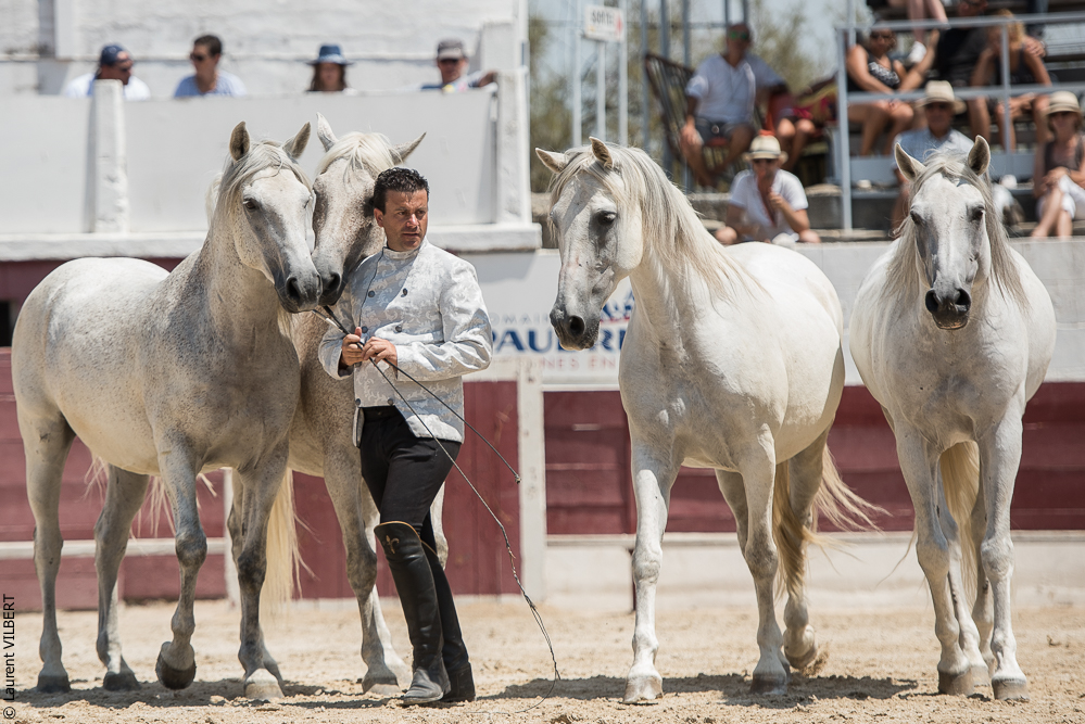 Mejanes 20170722-0607