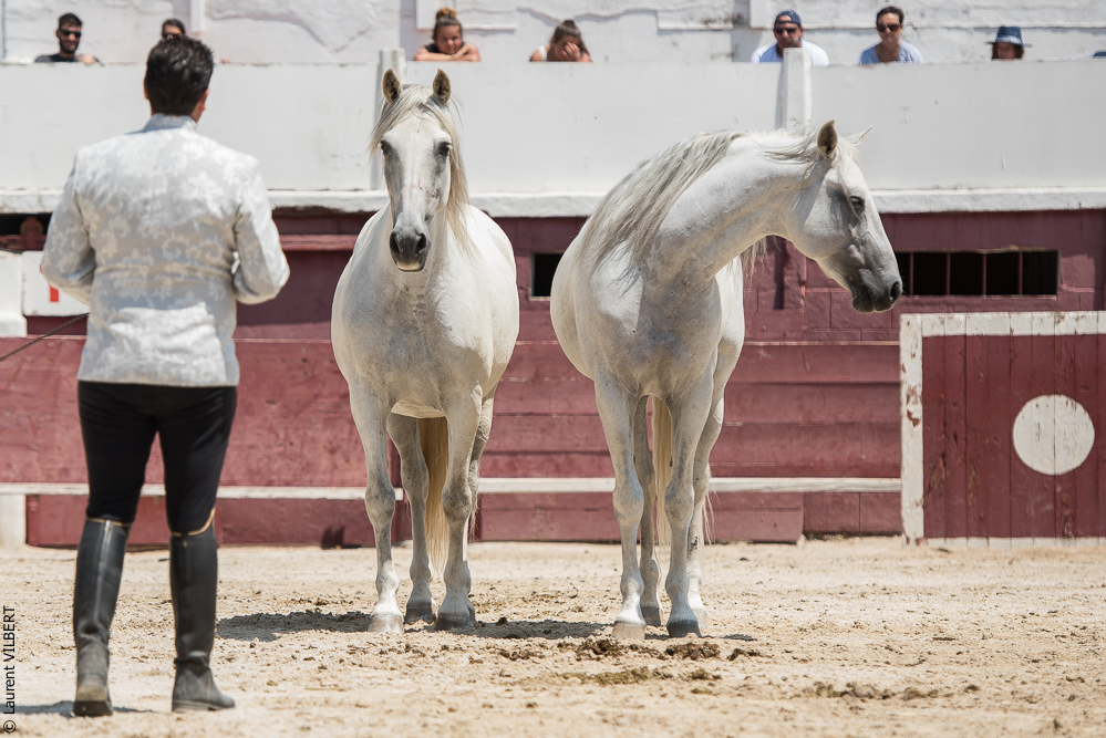 Mejanes 20170722-0623