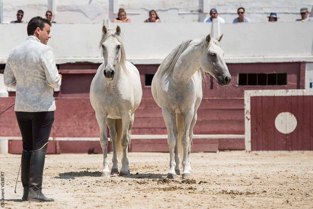 Mejanes 20170722-0624