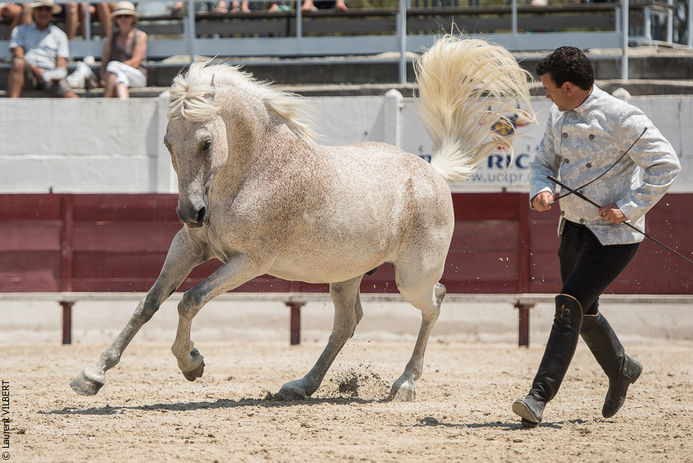 Mejanes 20170722-0625