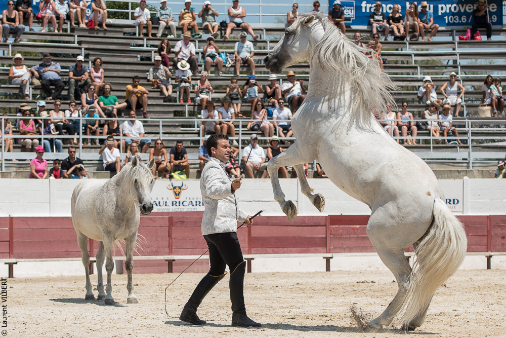 Mejanes 20170722-0636