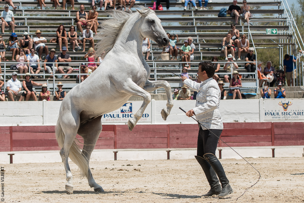 Mejanes 20170722-0646