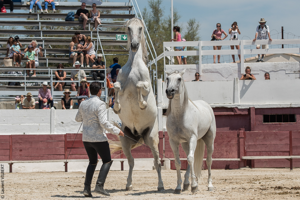 Mejanes 20170722-0667