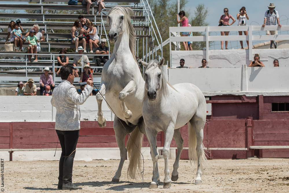 Mejanes 20170722-0671