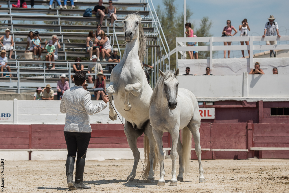 Mejanes 20170722-0673