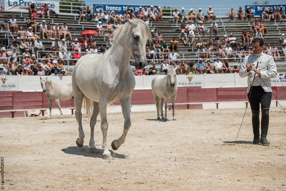 Mejanes 20170722-0680