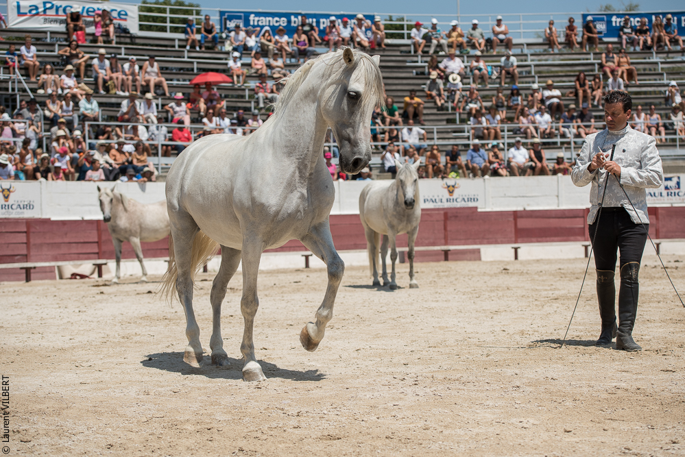 Mejanes 20170722-0681