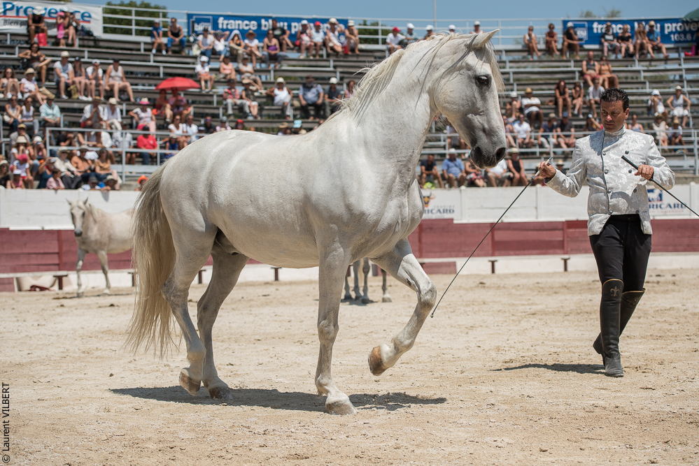 Mejanes 20170722-0684