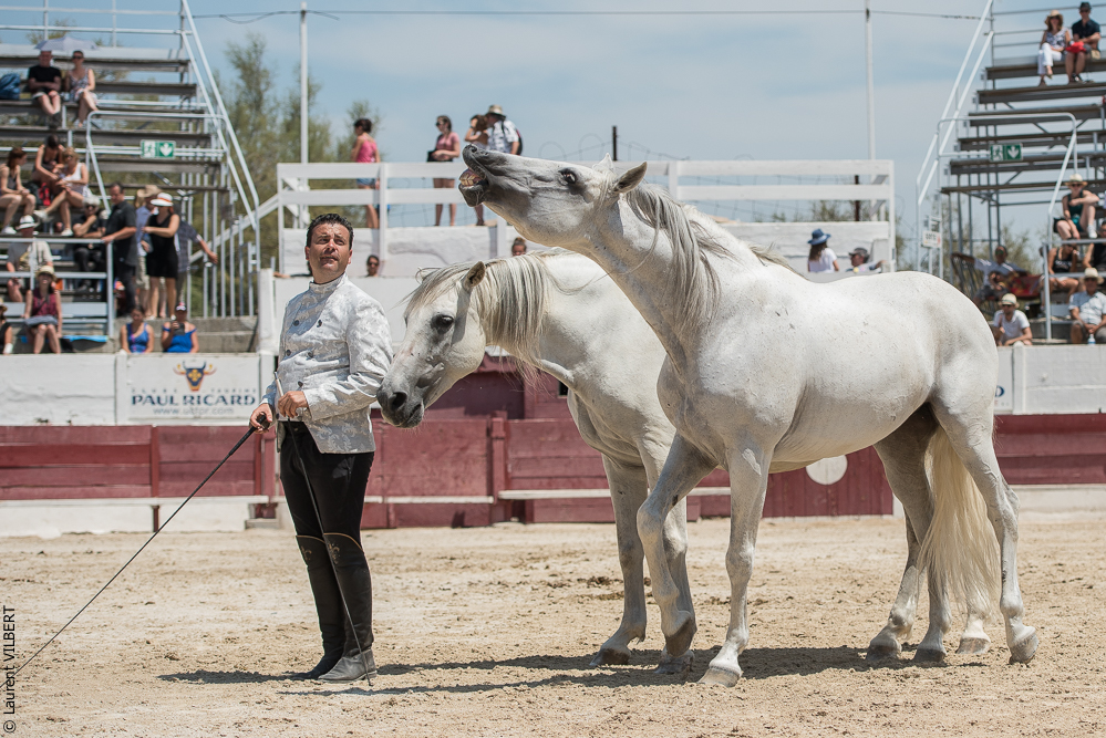 Mejanes 20170722-0700