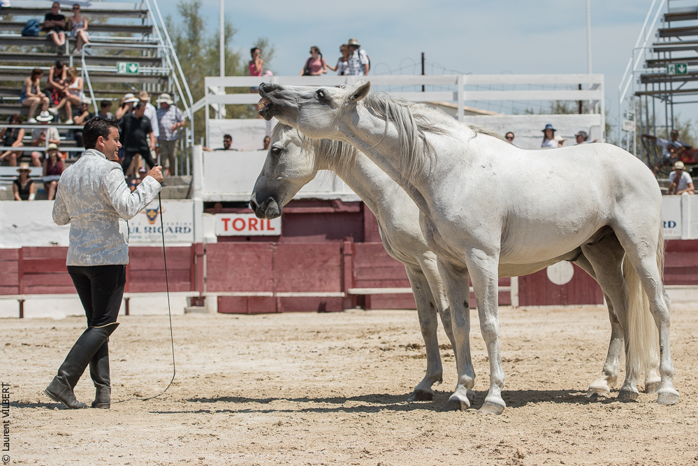 Mejanes 20170722-0708