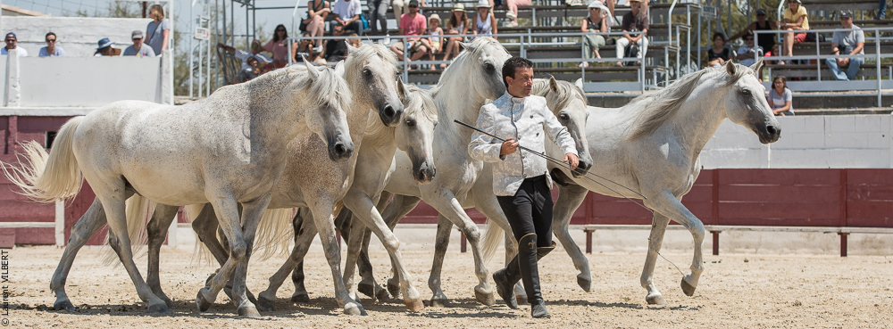 Mejanes 20170722-0721