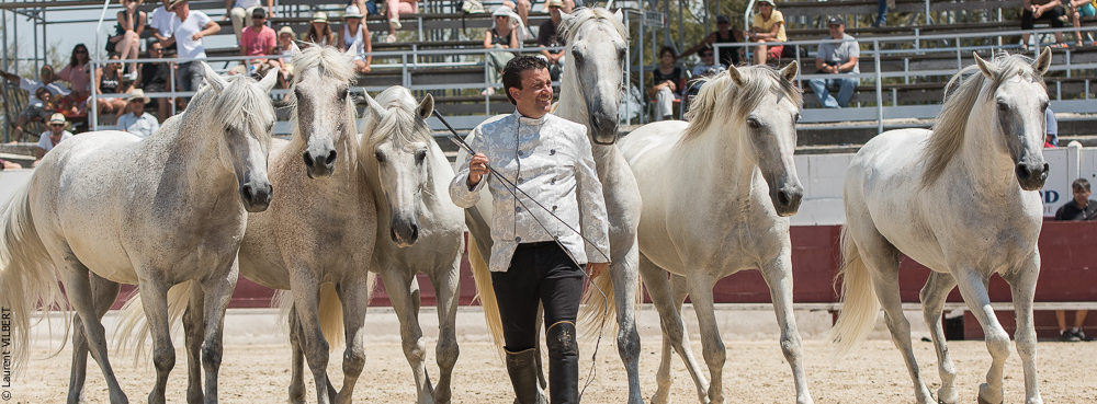 Mejanes 20170722-0723