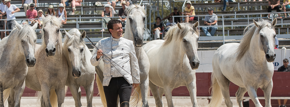 Mejanes 20170722-0723