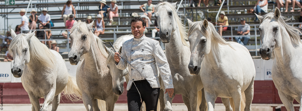 Mejanes 20170722-0724