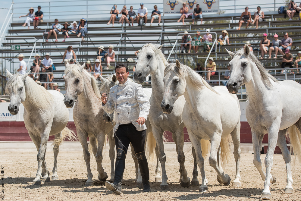 Mejanes 20170722-0725