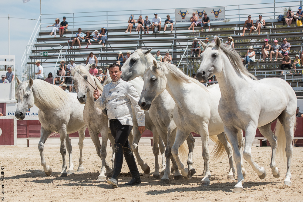 Mejanes 20170722-0727