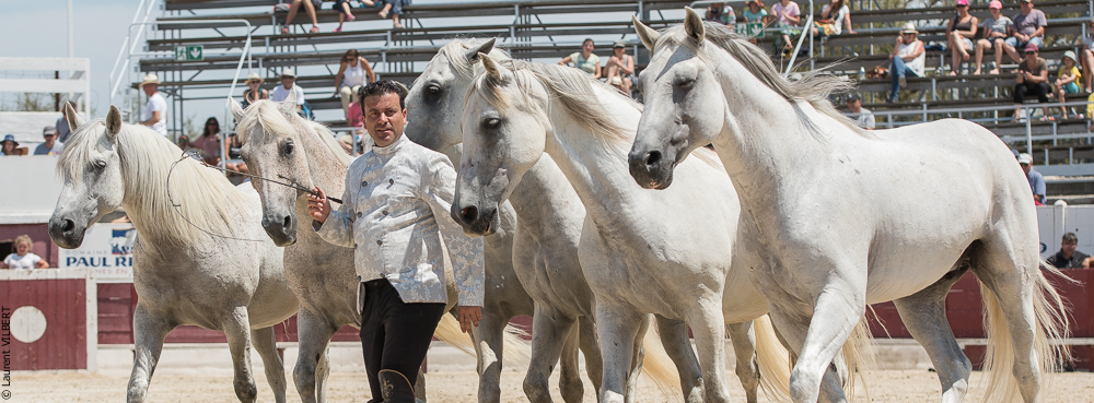 Mejanes 20170722-0728