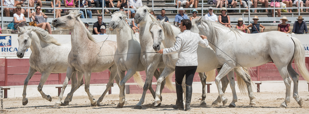 Mejanes 20170722-0732