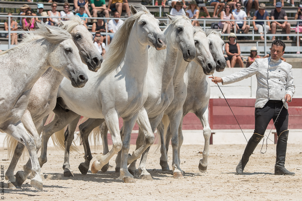 Mejanes 20170722-0736