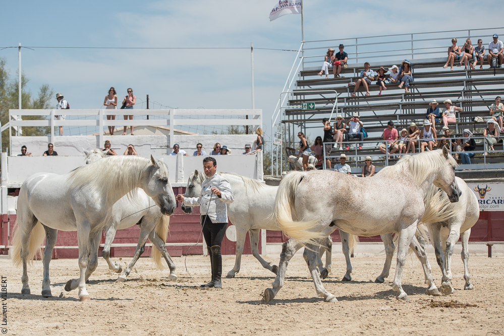 Mejanes 20170722-0743