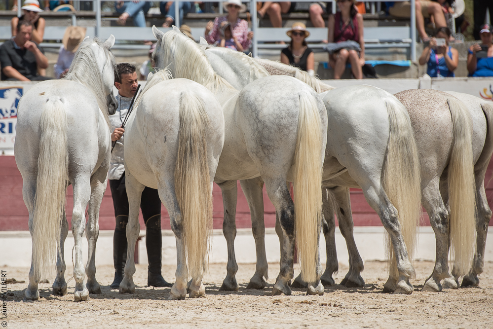 Mejanes 20170722-0753