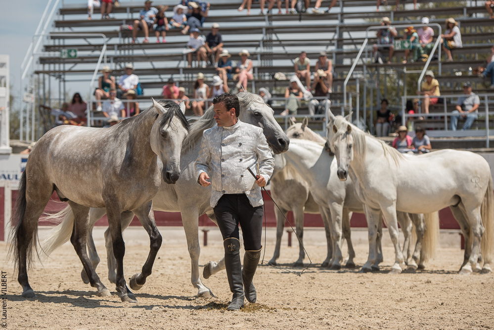 Mejanes 20170722-0783