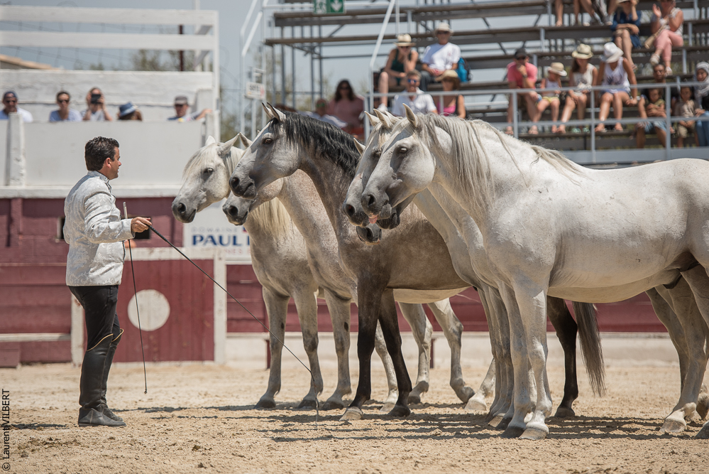 Mejanes 20170722-0787