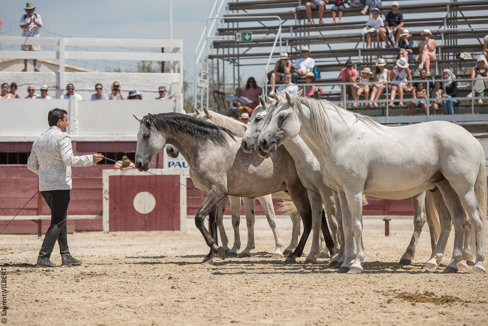 Mejanes 20170722-0788