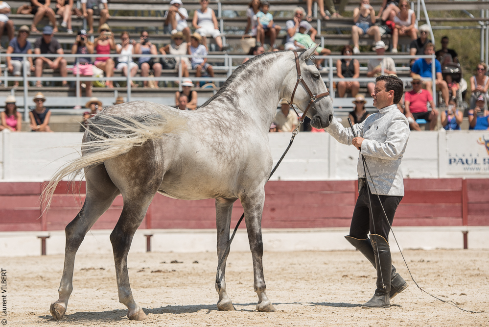 Mejanes 20170722-0793
