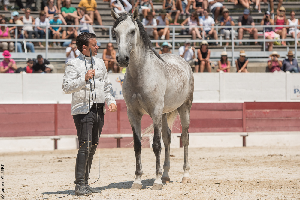 Mejanes 20170722-0801