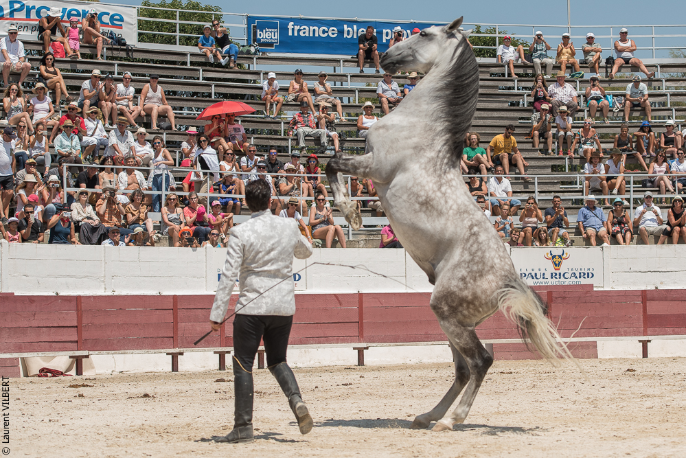 Mejanes 20170722-0813