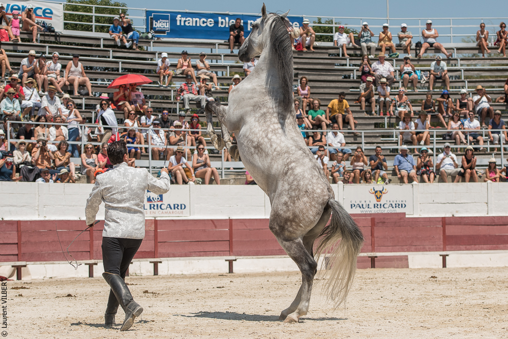 Mejanes 20170722-0815