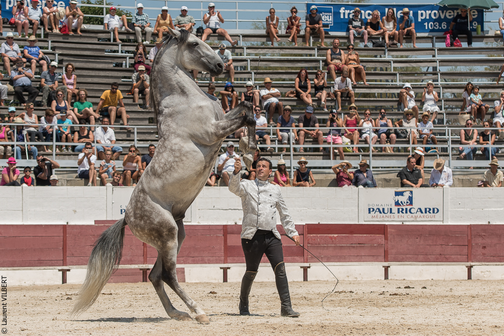 Mejanes 20170722-0819