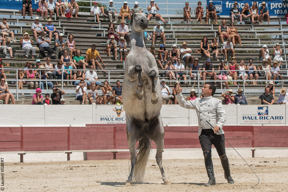 Mejanes 20170722-0824