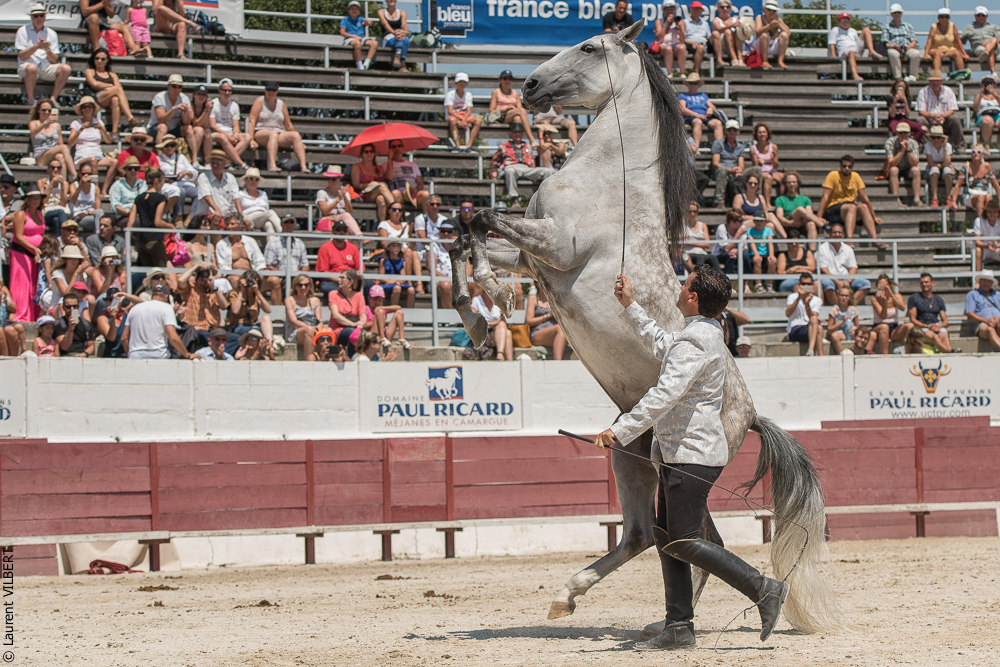 Mejanes 20170722-0829