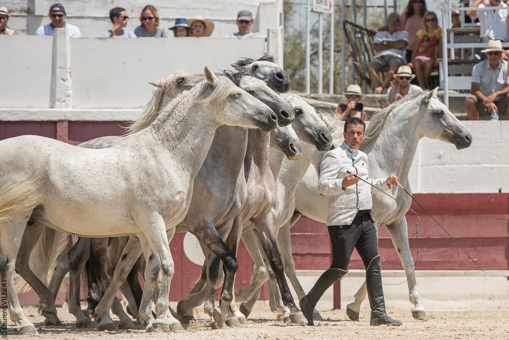 Mejanes 20170722-0836
