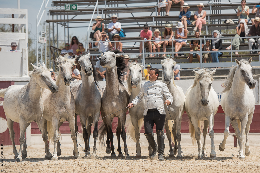 Mejanes 20170722-0840