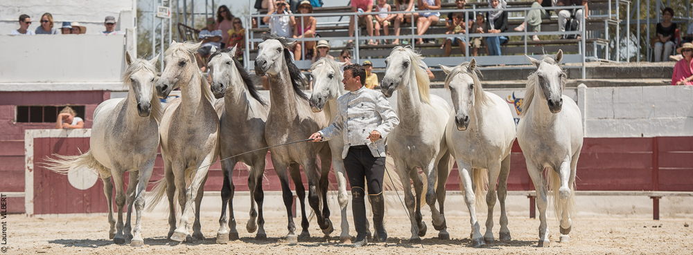 Mejanes 20170722-0841