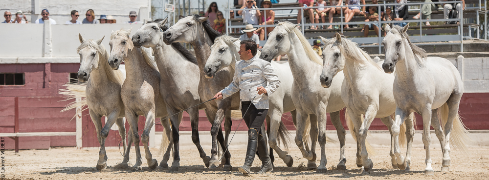Mejanes 20170722-0843