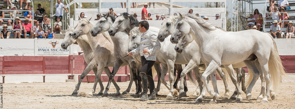 Mejanes 20170722-0849