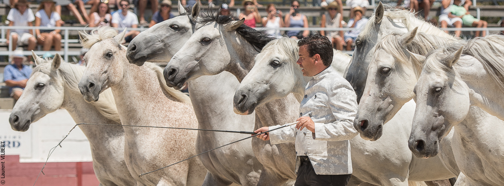 Mejanes 20170722-0852