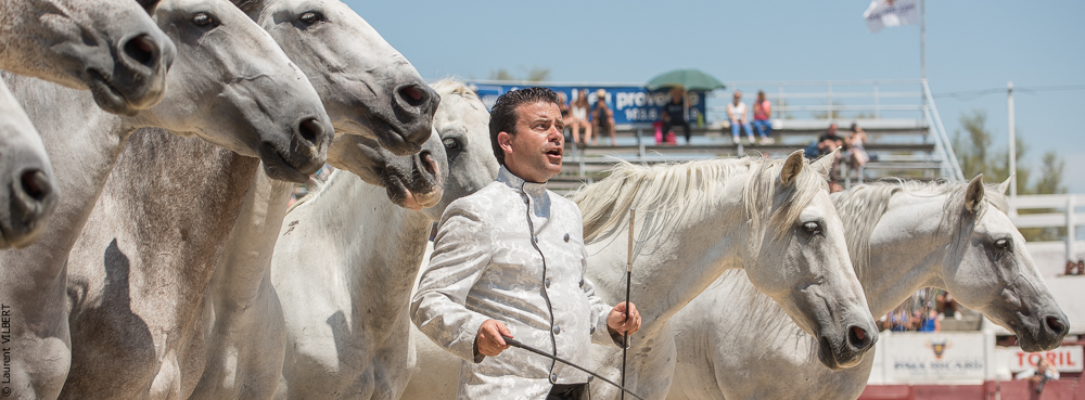 Mejanes 20170722-0863