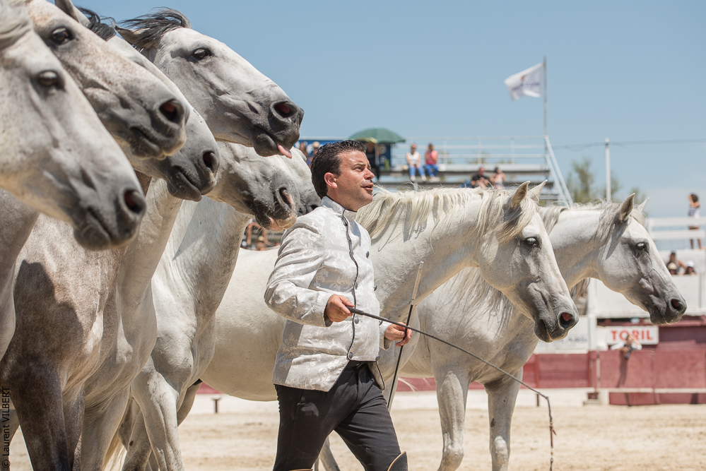 Mejanes 20170722-0864