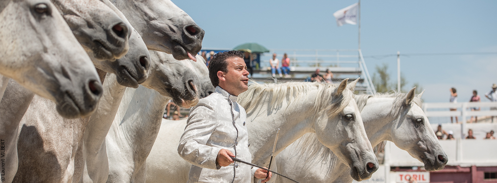 Mejanes 20170722-0864