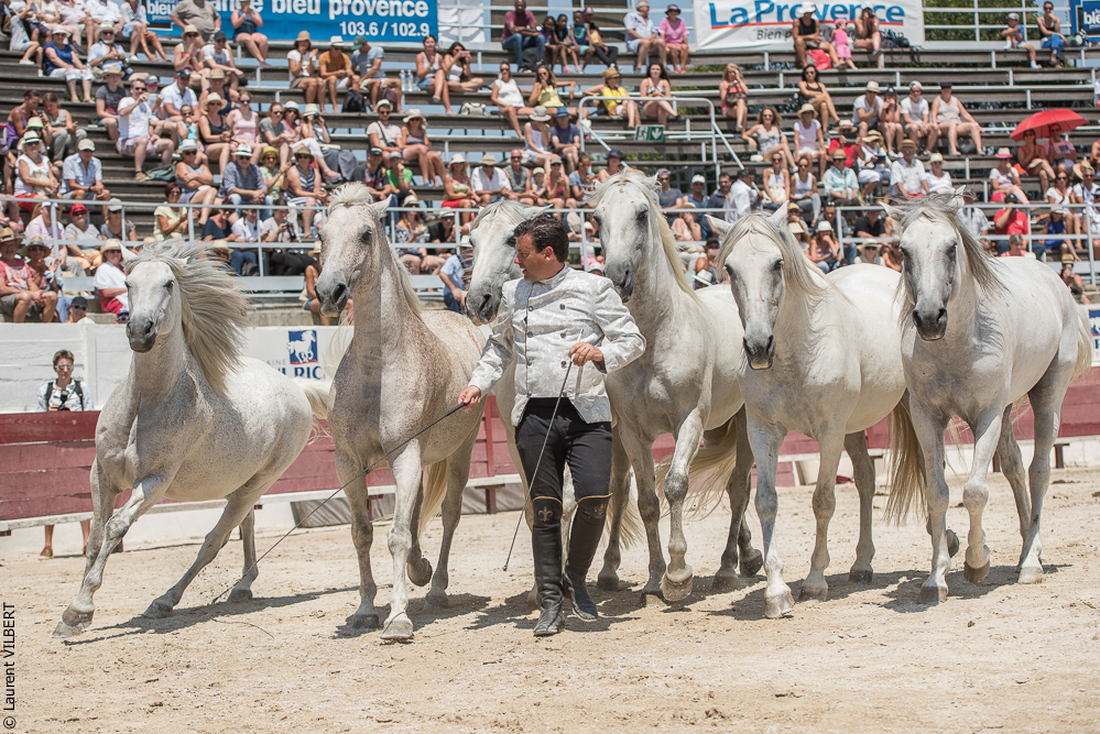 Mejanes 20170722-0867