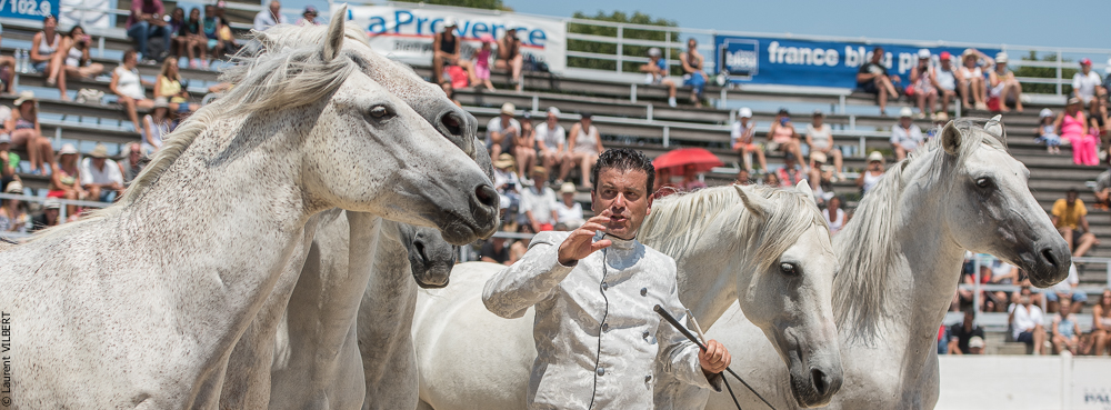 Mejanes 20170722-0874