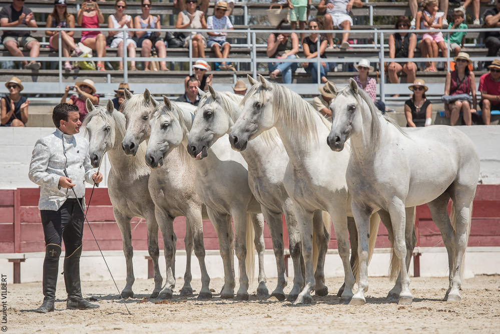 Mejanes 20170722-0879