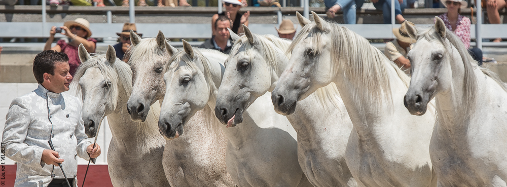 Mejanes 20170722-0879