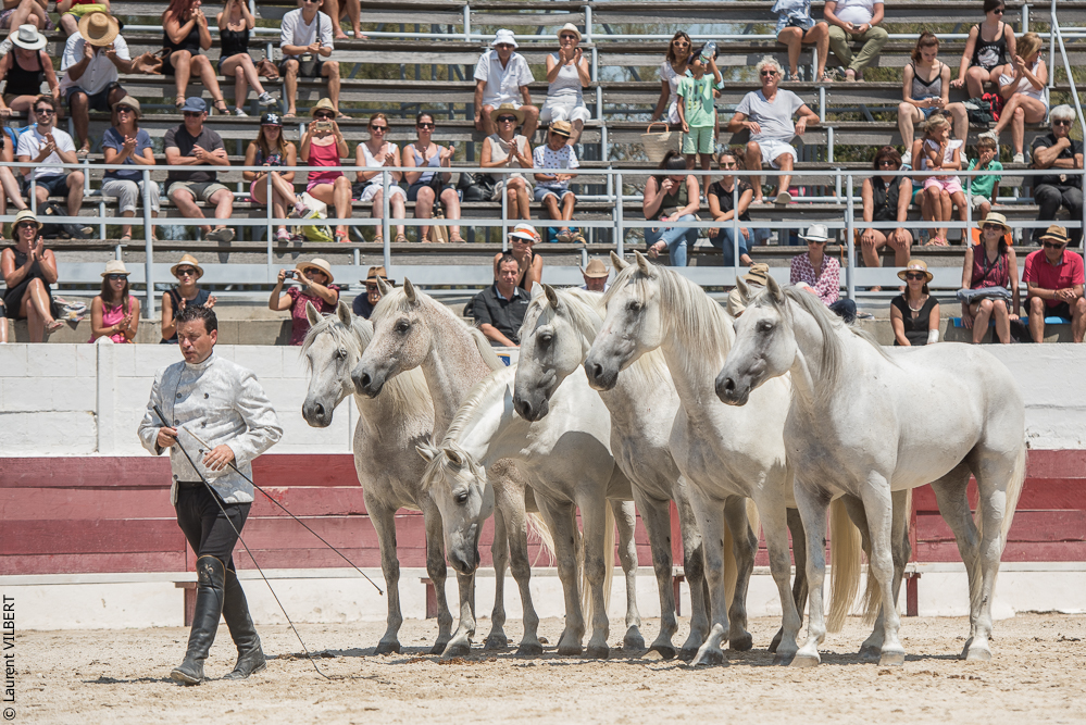 Mejanes 20170722-0881
